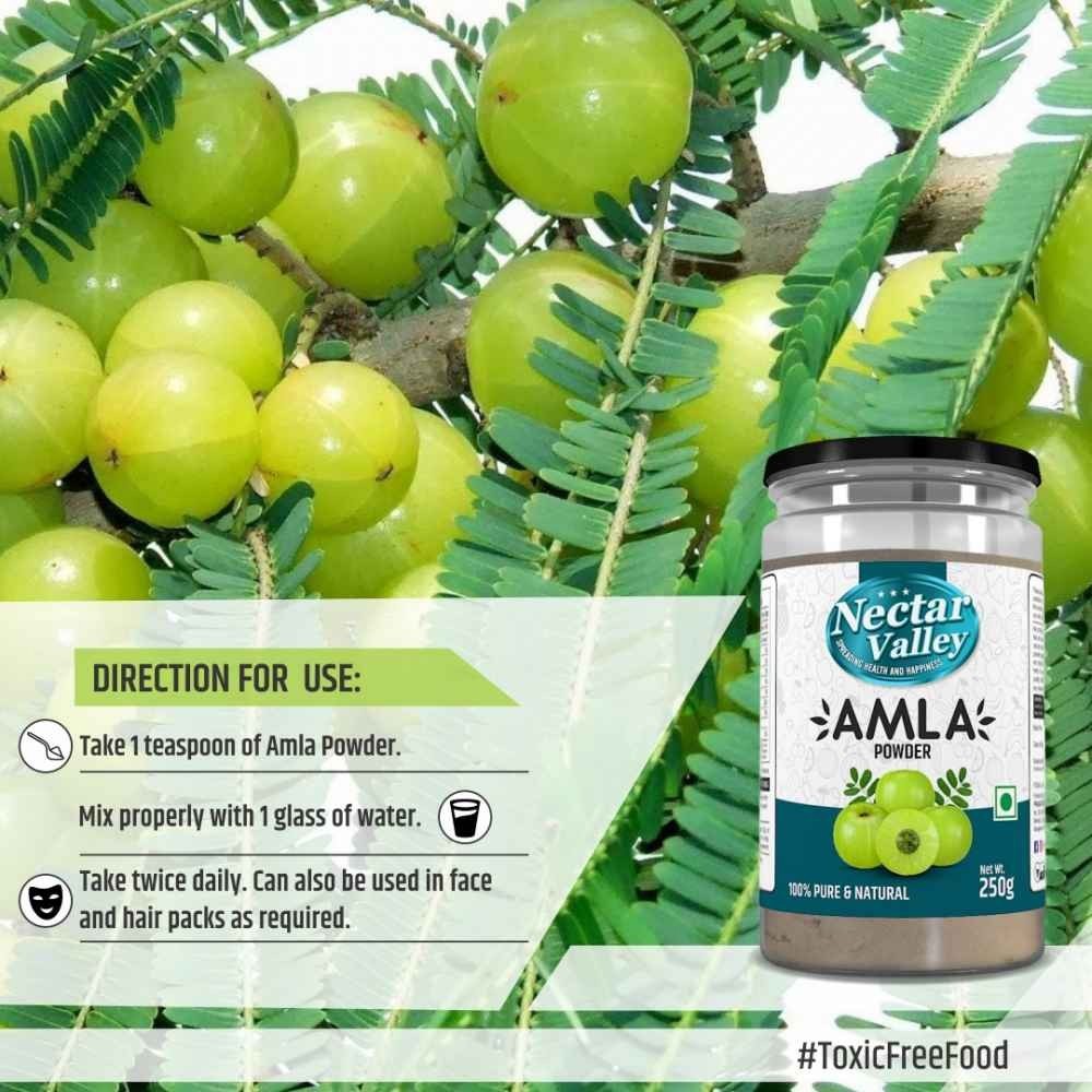 Amla Powder Organically Processed and Grinded Without Seeds 250g